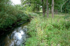 img_0006-6