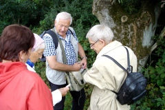 img_0024-7
