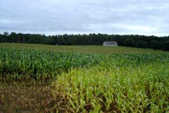 img_0027-7