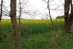 dsc00422