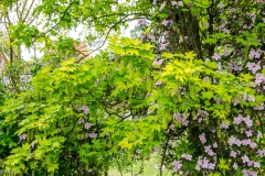 HEI_1479