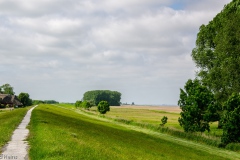 HEI_1675-1