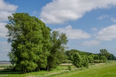 HEI_1678-1