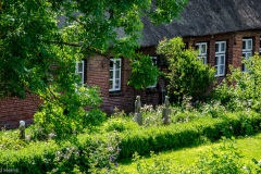HEI_1686-1