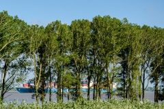 HEI_1706-1