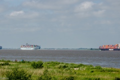 HEI_1720-1