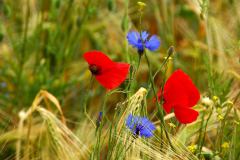 img_0032-23