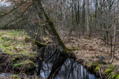 HEI_0109