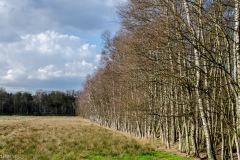 HEI_0115