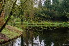 HEI_0281