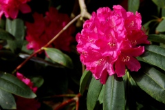 img_0008-52