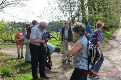 img_0043-5