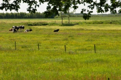 img_0020-15