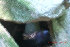 img_0028-20