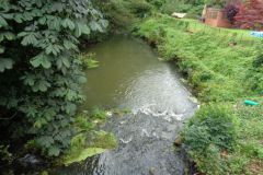 dsc01050