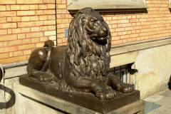 img_0005-40