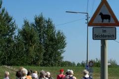 img_0014-38