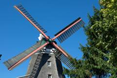 img_0042-13