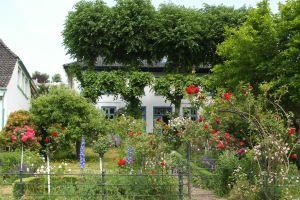 07.06.2008 Tagesausflug nach Blankenese