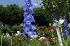dscf0079