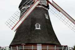 img_0011-40