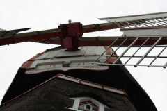 img_0017-37