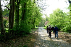 img_0005-12