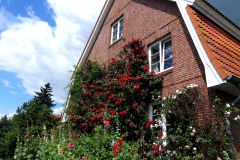 SAMSUNG DIGITAL CAMERA