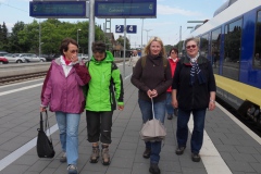 Wanderung auf dem Este-Deich am 11.Juli.2012.