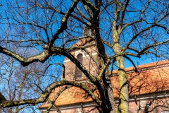 P1000854