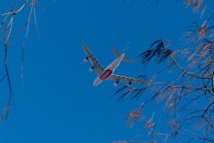 P1000879