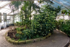 P1000896