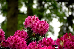 img_0033-11