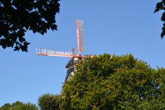img_0009-4
