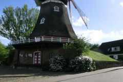 cimg0698