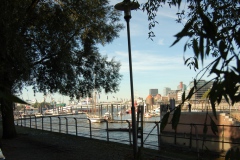 img_0020-1
