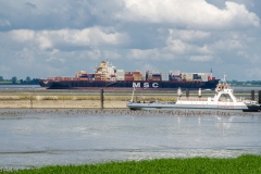 HEI_2054