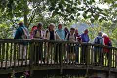 img_0007-41