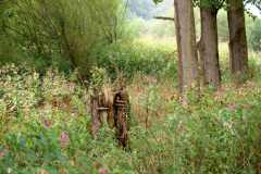img_0009-41