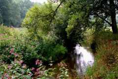 img_0010-41