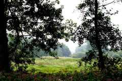 img_0011-41