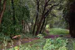img_0015-40