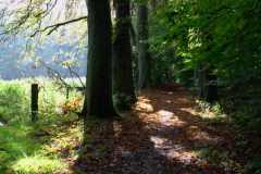 img_0038-17