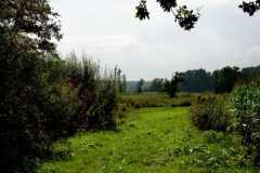 img_0039-15