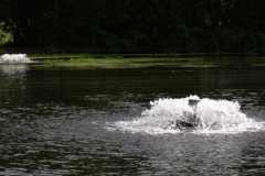 img_0045-14