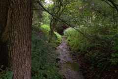 img_0046-14