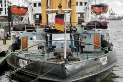 16.02.2014 Besuch des Hamburger Fischmarktes 