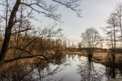 P1000178