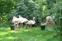 img_0022-30