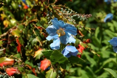 img_0029-3